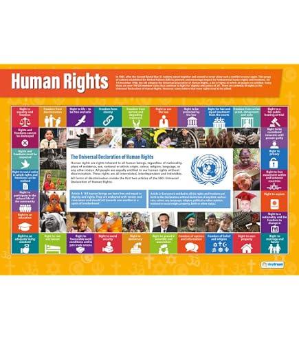 30 Rights 30 Human Rights Poster