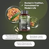 WeightWorld Frankincense Capsules 2000 mg Boswellia 85% Boswellic Acids 180 view 2
