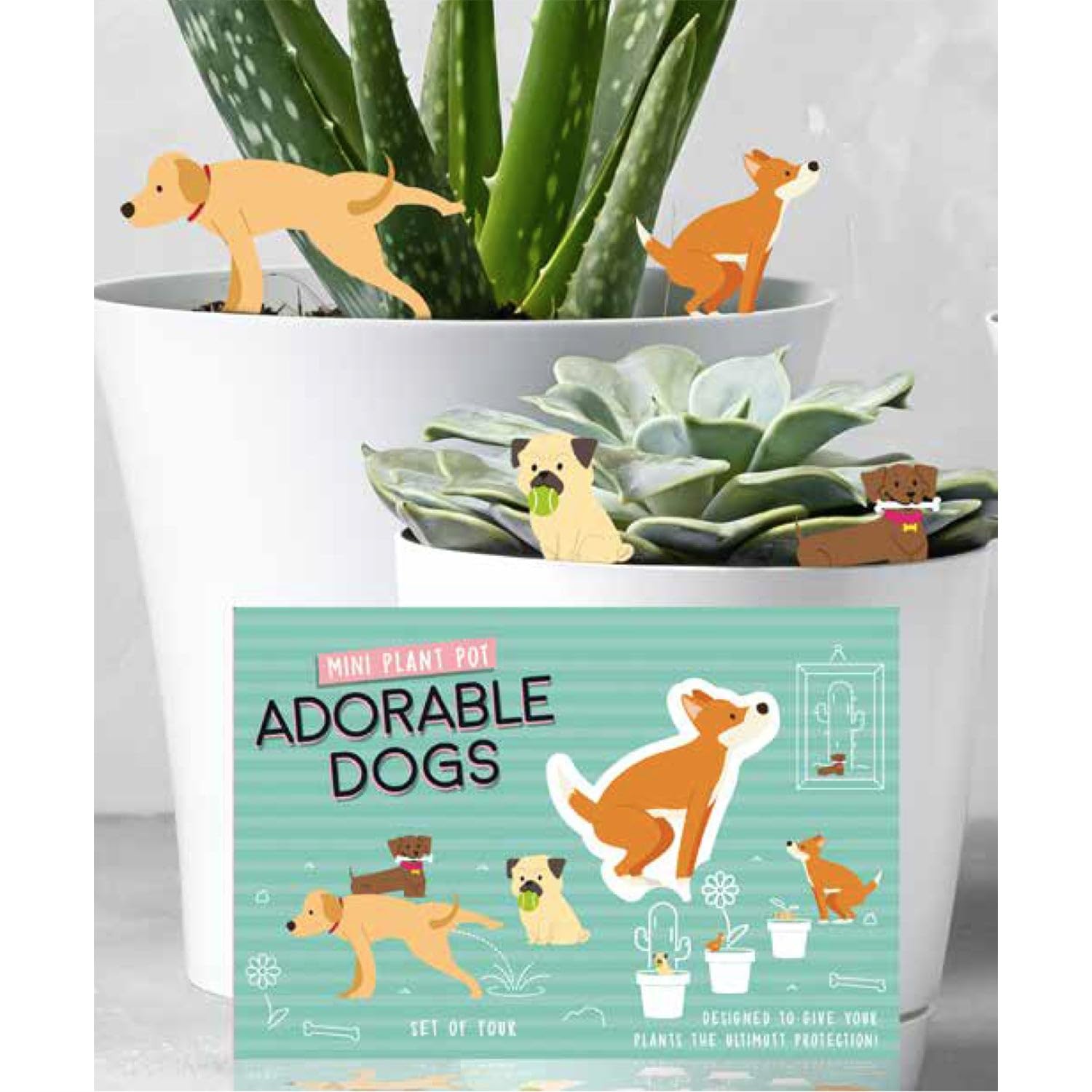 Set of 4 Mini Plant Pot Dogs - Novelty Pant Pot Garden Decorations - Indoor Plant Gift Idea