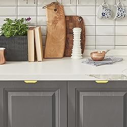 Ravinte 10 Pack Finger Pulls for Cabinets