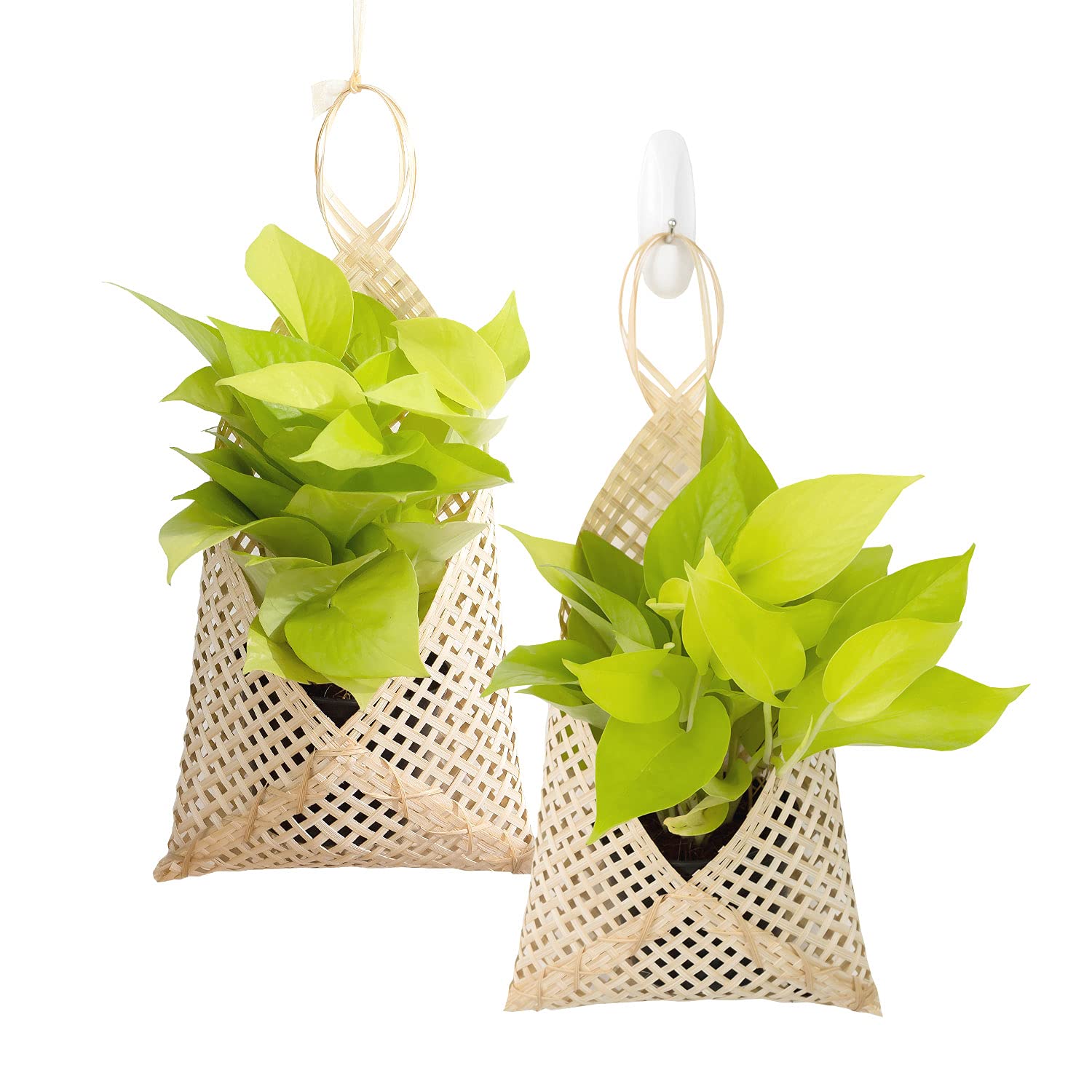 Goldleafking 2 Pack small Natural Bamboo Woven Basket Weave Hanging Planters | Plant Hangers Outdoor - indoor plants Baskets Pots Hanger for and wall planter décor