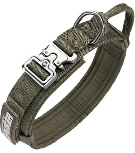 Bracelet paracorde de survie vert ⚔️ Boutique Épées