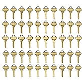 50Pcs C123 Key Blank, Compatible with SCH C123