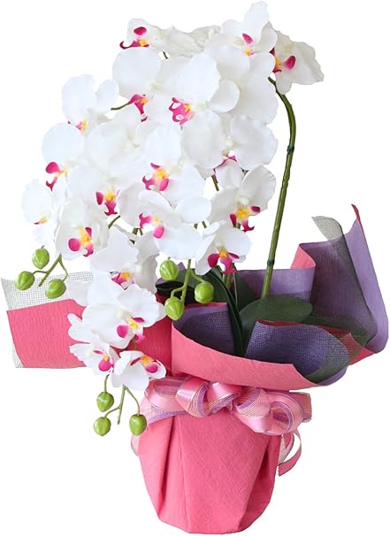 Amazon Co Jp 山久 造花 光触媒加工 優雅で高貴な 胡蝶蘭 鉢植 3本立 ホワイトオーキッド 0704 39 Hi C シルクフラワー おもちゃ