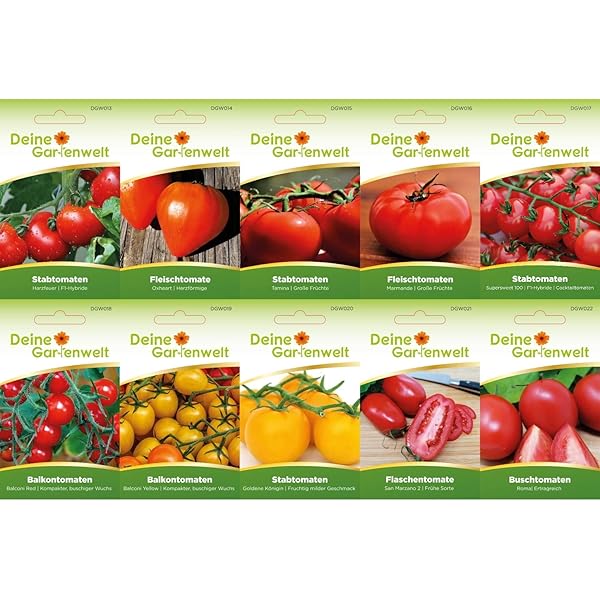 Gemüse Garten Köstliche Tomaten Samen Set mit 12 Sorten Tomatensamen für Garten und Balkon ...