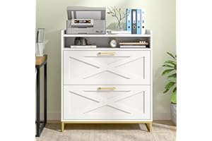 BEFRASES 2 Drawer Lateral File Cabinet, Filing Cabinet with Charging Station for Letter/Legal/A4 Size Hanging Files, Farmhouse File Storage Cabinet for Home Office, Printer Stand with Storage, White and Gold