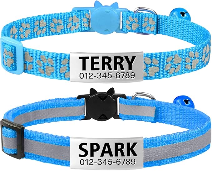 cat collar with nameplate
