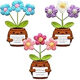 Wavwavw 3pcs Thank You Gifts Employees Teacher Appreciation Gifts Handmade Positive Flower Crochet with Inspirational Card for Women Men Coworker Friend Office Staff Favors