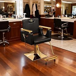 LUXMARS Heavy Duty Barber Chair, 360° Swivel