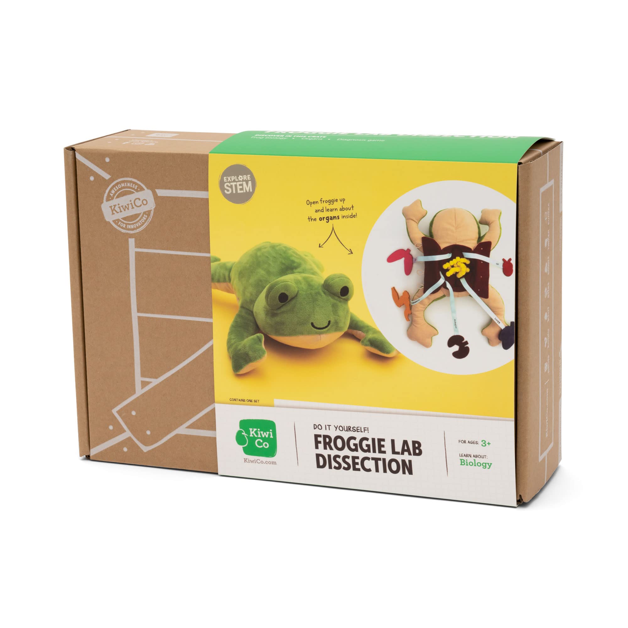 KiwiCo Froggie Lab Dissection Plush Toy - Anatomy Learning Toy for Ages 3 and Up