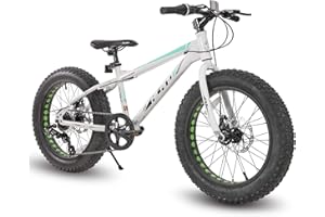 Hiland Kids Fat Tire Bike, Shimano 7-Speed,Dual-Disc Brake,20 Inch, Kids Mountain Bike for Boys Girls