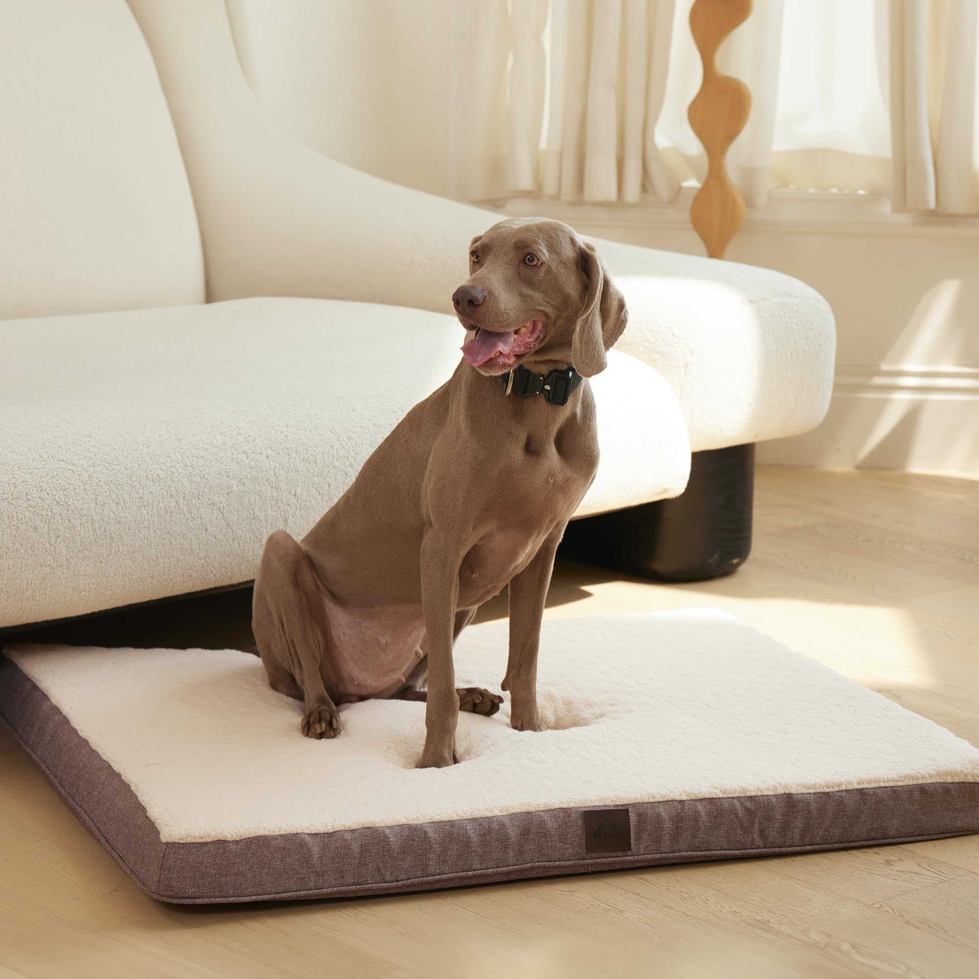 DaysU Dog Bed for Extra Large Dogs, Orthopedic Dog Beds with Removable ...