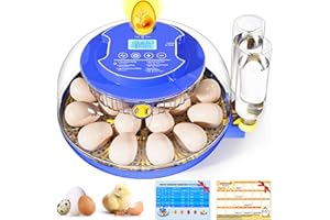 DERGO Incubator for Hatching 18 Eggs - Automatic Turning Smart Temp Humidity Control with Alarm, 360° Clear View Candler Function for Chicken Duck Quail Goose Poultry (Dual Trays)
