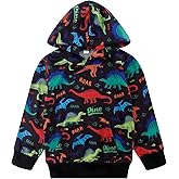 Akyzic Baby Boys Dinosaurs Hoodie Boys Shark Pullover with Pocket Kids Truck Warm Sweatshirt Sweater