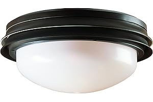 Hunter Fan Company 28547 Marine II, Low Profile Globe Light Kit, New Bronze