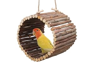 OOOCT Bird Parrot Swing Toys, Hanging Bird Tree Caves, Natural Apple Wood Parrot Hammock, Bird Cage Accessories, Suitable for Little Bird Parakeets Cockatiels Lovebirds Hamster Rat (6.49" in Diameter)