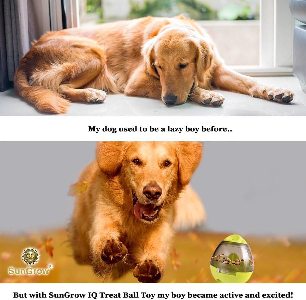 SunGrow Puppy, Small Dog Breeds, and Pocket Pet Treat Ball, Ends Naughty Chewing and Bloat, Encourages Exercise - Image 5