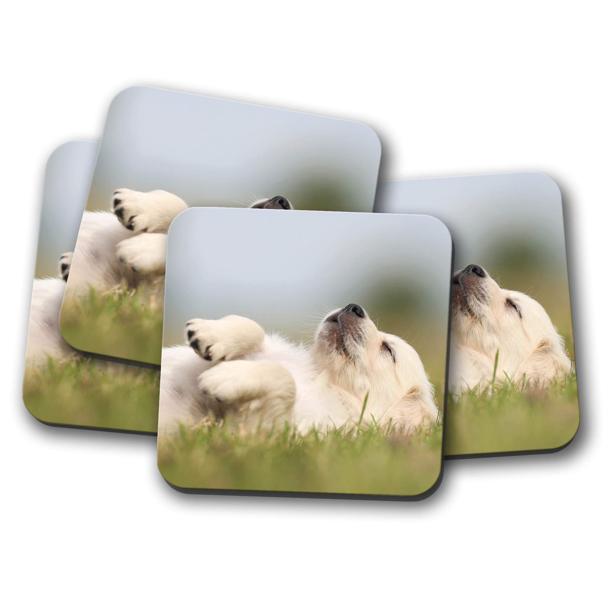 4 Set - Labrador Retriever Puppy Drinks Coaster - Dog Cute Golden Fun Gift #8437