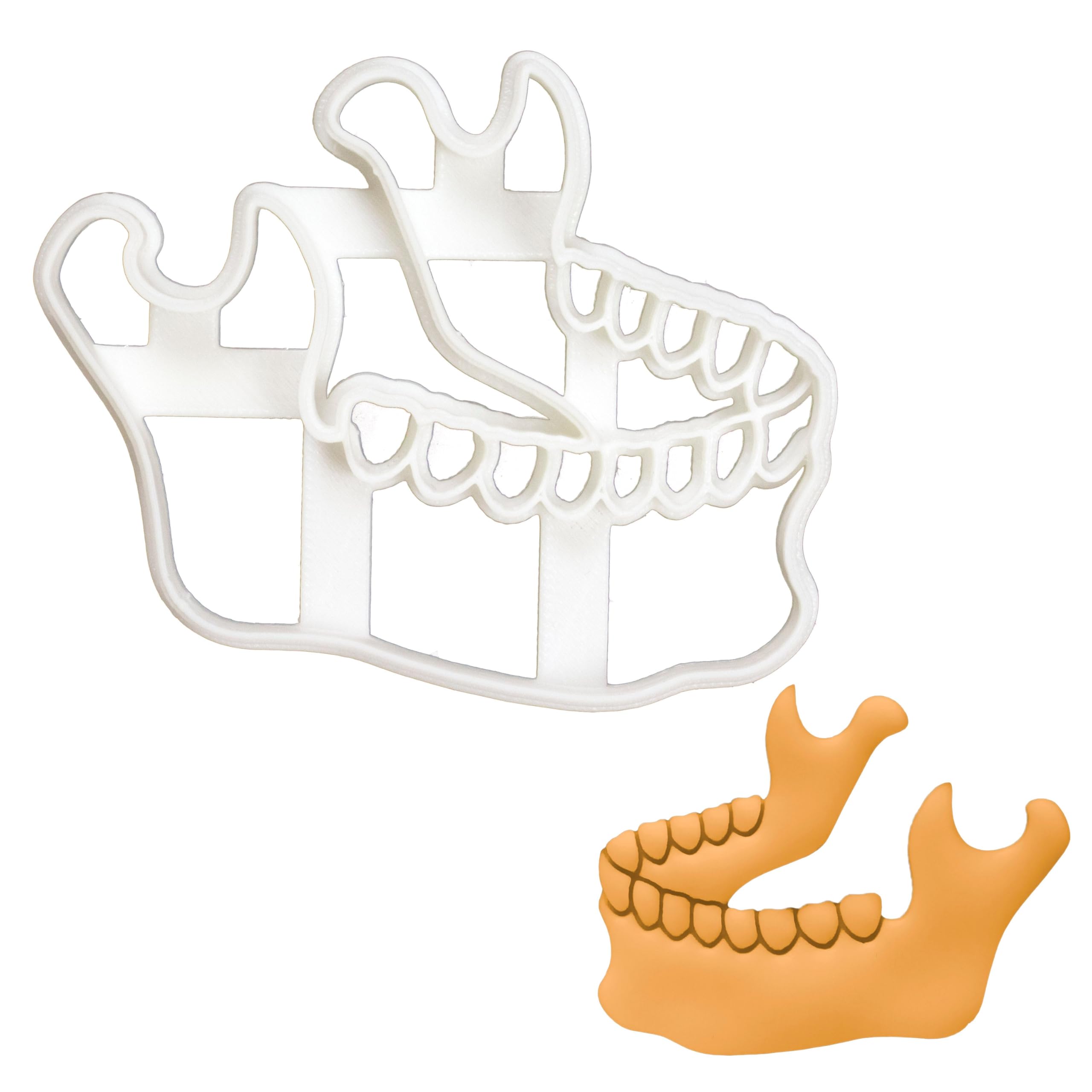 BAKERLOGY Mandible Bone Cookie Cutter - Detailed Biscuit Cutter Design for Baking and Crafts, Ideal on Fondant, Dough, Clay