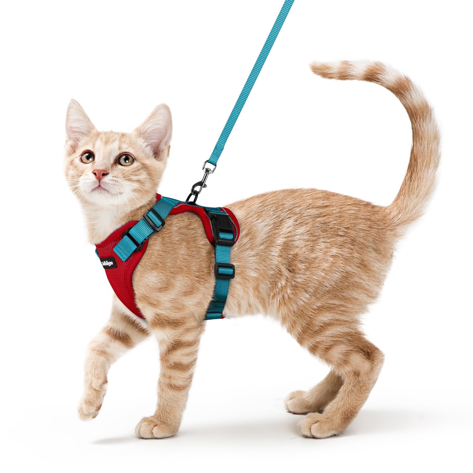 Photo 1 of rabbitgoo Cat Harness and Leash for Walking, Escape Proof Soft Adjustable Vest Harnesses for Cats, Easy Control Breathable Reflective Strips Jacket, Red & Teal, S