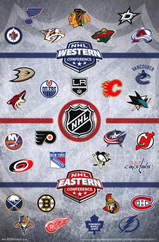 NHL Official Team Logos Hockey Poster All 30 Teams RP13519 Amazon.co