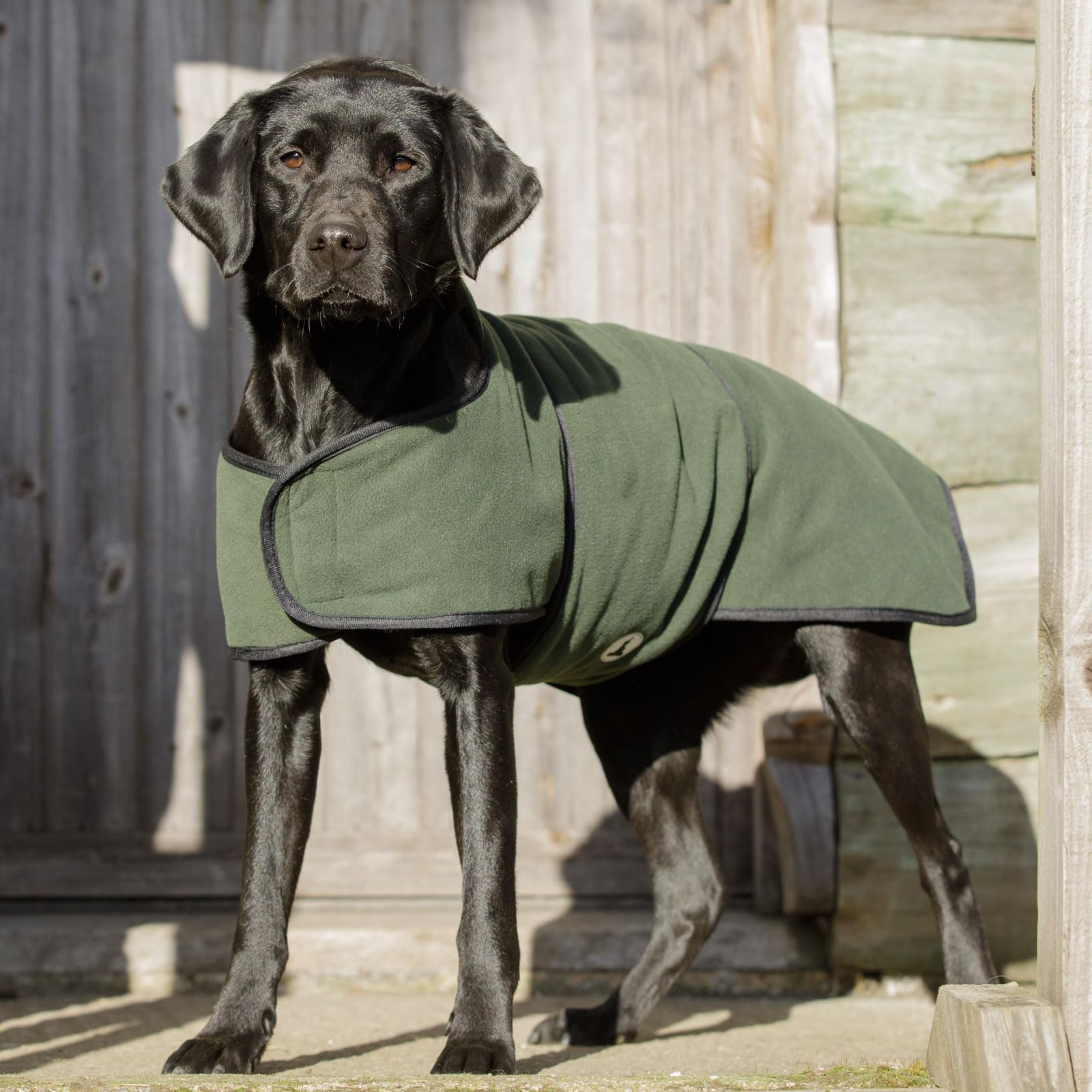 Dog & Field Duel Layer Towelling Coat, Olive Green, XXL