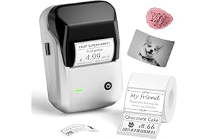 NIIMBOT B1 Label Maker with Tapes, 2 Inch Portable Thermal Label Printer for Home School Office Small Business, Address, Bakery, Crafts, Retail, Support Smartphones & PC, Silver