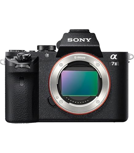 SONY α7 II ボディー　海外版 SONY α7 II ILCE-7M2 ボディの海外版を購入しました。日本語化に