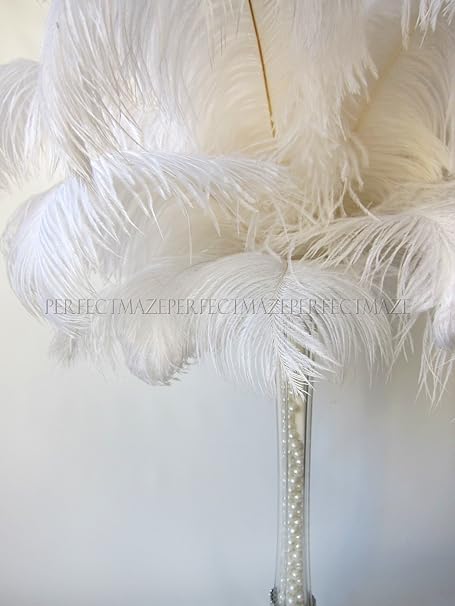 Perfectmaze 20 22 Ostrich Feather Premium Quality For Wedding