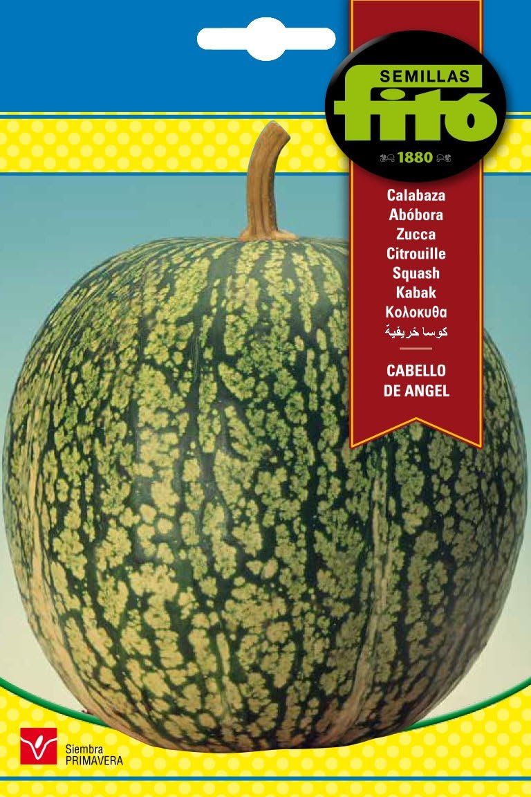 Semillas Fitó 33 - Semillas de Calabaza Cabello de Ángel: Amazon ...