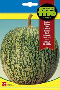 Semillas Fitó 33 - Semillas de Calabaza Cabello de Ángel: Amazon ...