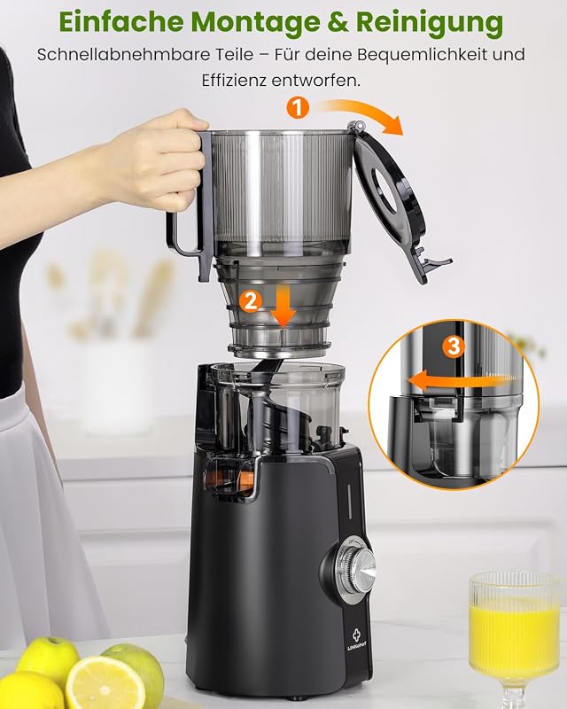 Entsafter Slow Juicer 200W Kaltentsafter für Obst & Gemüse