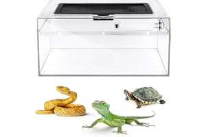 AZV Reptile Terrarium Reptile Tank 7 * 11.8 * 5.9inch with Full View Visually Appealing for Bearded Dragon Hermit Crab Jumping Spider Tortoise Leopard Gecko Frog