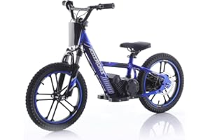AIII Lightweight Electric Dirt Bike for Kids Aged 6-12, Professional Version, Racing Grade Electric Motorcycle, 500W Brushless Motor, 15.5MPH Top Speed, 16" Off-Road Tires, Safe Disc Brake, Blue