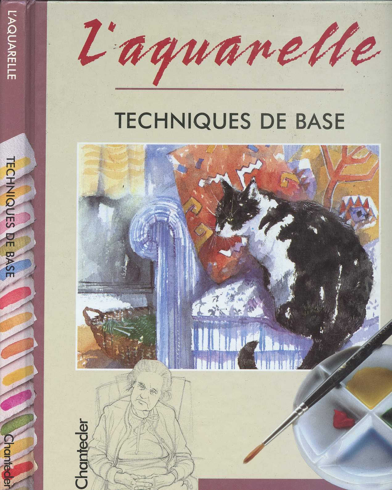L Aquarelle Technique De Base 9782803423392 Amazon Com Books