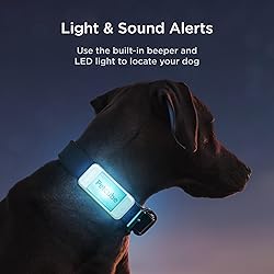 Petcube GPS Tracker for Dogs | Pet GPS Location