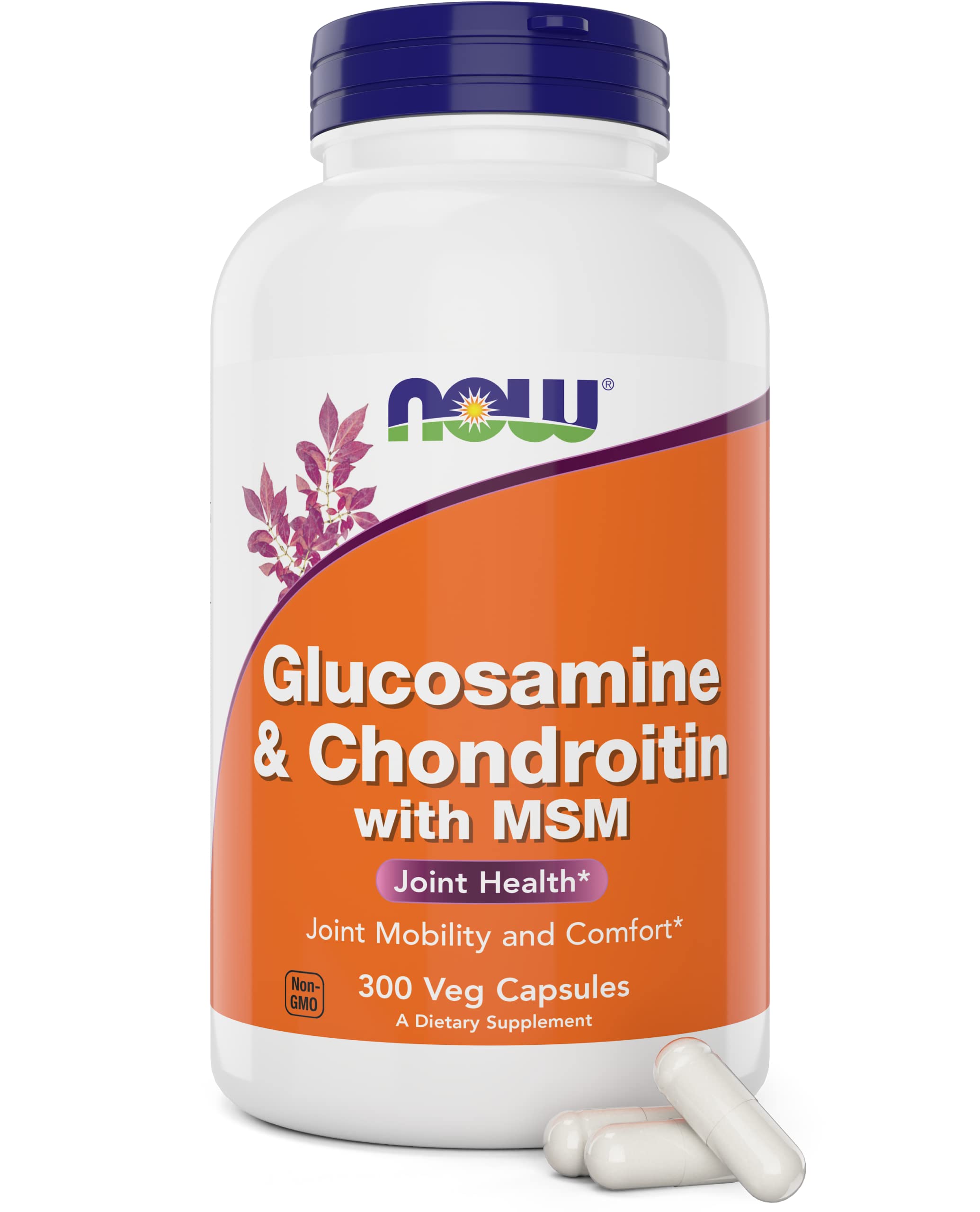 Glucosamine & Chondroitin with MSM