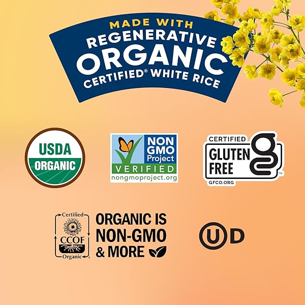 LUNDBERG ORGANIC CREAMY PARMESAN RISOTTO SEASONED RICE – REGENERATIVE ORGANIC CERTIFIED ARBORIO RICE & SEASONING MIX, GLUTEN FREE, 5.5 OUNCE BOX