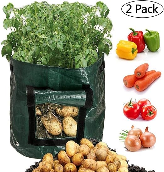 Scoolr - Bolsa para plantar patatas, 2 paquetes de bolsas de ...