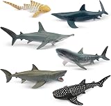 toymany 6PCS 12-14CM Realistic Shark Bath Toy Figurines Sea Animals Set Kids view 9