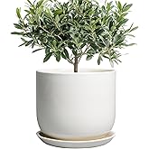 SUNPOTFOR Ceramic Plant Pot - Modern 8 Inch Round Planter for Indoor Outdoor Plants with Drainage Hole and Saucer, Home House Room Office Decor, White