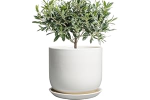 SUNPOTFOR Ceramic Plant Pot - Modern 8 Inch Round Planter for Indoor Outdoor Plants with Drainage Hole and Saucer, Home House Room Office Decor, White