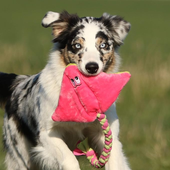 Neues Hundespielzeug aus Plüsch Quietschend Sehr Robustes Spielzeug