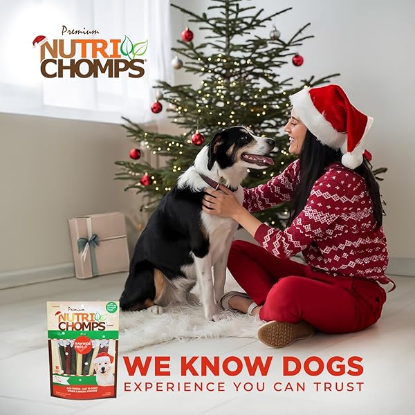 NUTRICHOMPS DOG CHEWS, 5 INCH STICKS, MINT FLAVOR, 15 COUNT, EASY TO DIGEST, RAWHIDE FREE, HOLIDAY STOCKING STUFFER TREATS, CHRISTMAS GIFT FOR DOGS