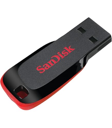 Amazon.com: SanDisk Cruzer Blade USB Flash Drive, 128 GB, Black