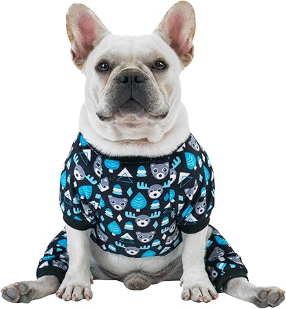 pyjamas with your dog on them