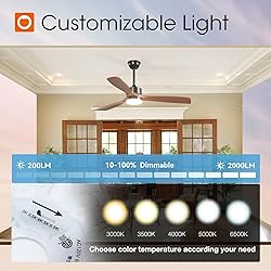 addlon 52 inch Ceiling Fans with Lights and Remote