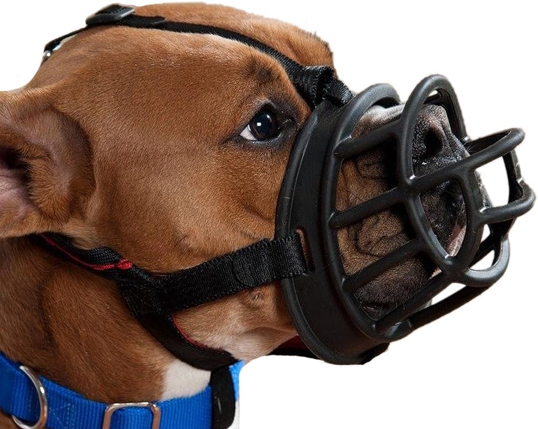 basket muzzle for brachycephalic dogs