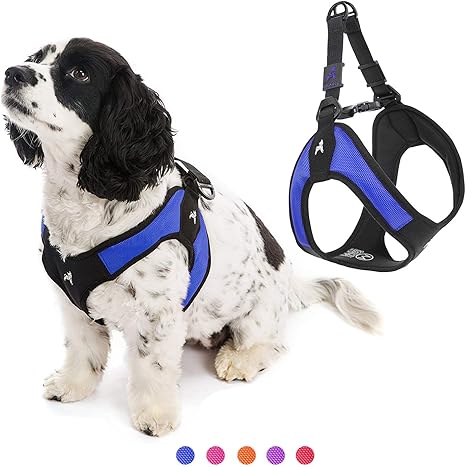 Your perfect puppy harness Clearance