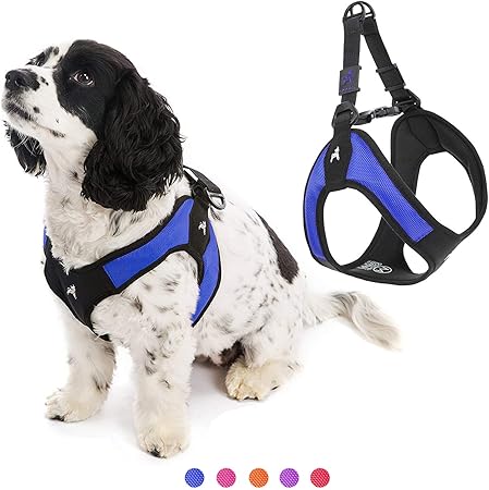 perfect fit harness amazon